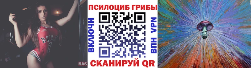 shop наркотические препараты  Калининец  Псилоцибиновые грибы Psilocybine cubensis  наркотики 